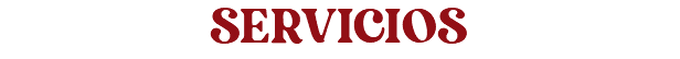 SERVICIOS